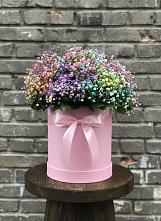 Цветочная композиция из Гипсофила и Розы в шляпной коробке #REPLACE_PRED# Короче