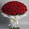 Букет 101 Красная роза Блэк Мэджик в Короче