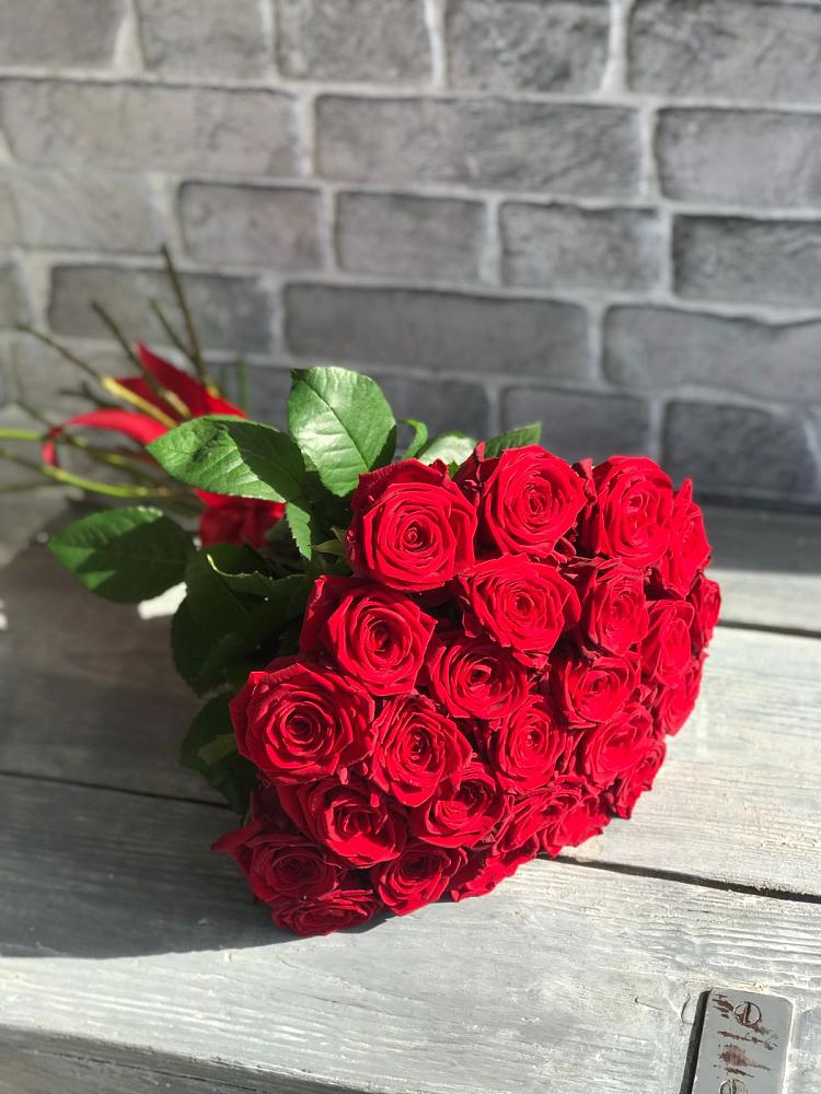 Букет Красные розы Фридом в Короче