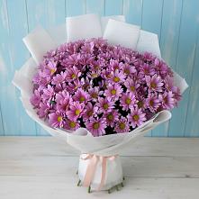 Букет цветов из:  Хризантемы в Короче
