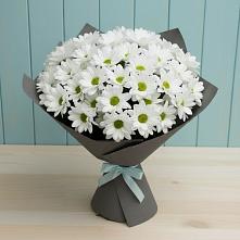 Букет цветов из:  Хризантемы #REPLACE_PRED# Короче