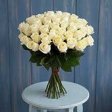 Букет 51 Белая роза Эдлесс Лав #REPLACE_PRED# Короче