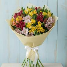 Букет цветов из:  Альстромерии в Короче