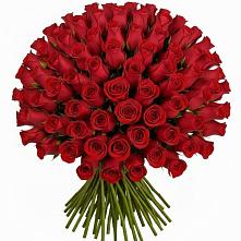 Букет Красные розы Чери Лав в Короче