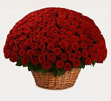 Премиум букет из: Розы в Короче